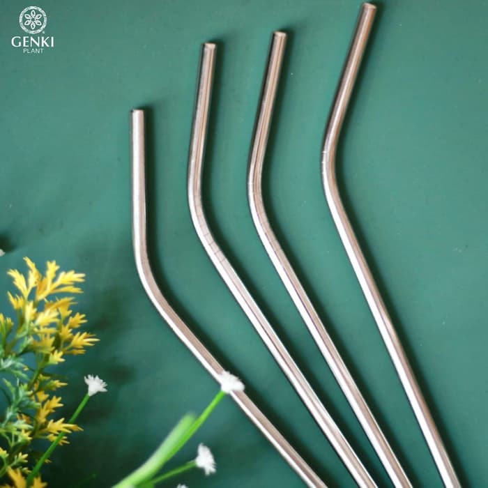 Stainless Straw Silver (Bent)
