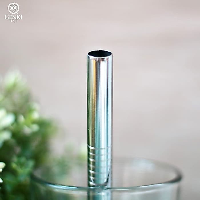 Stainless Straw Silver (Bubble)