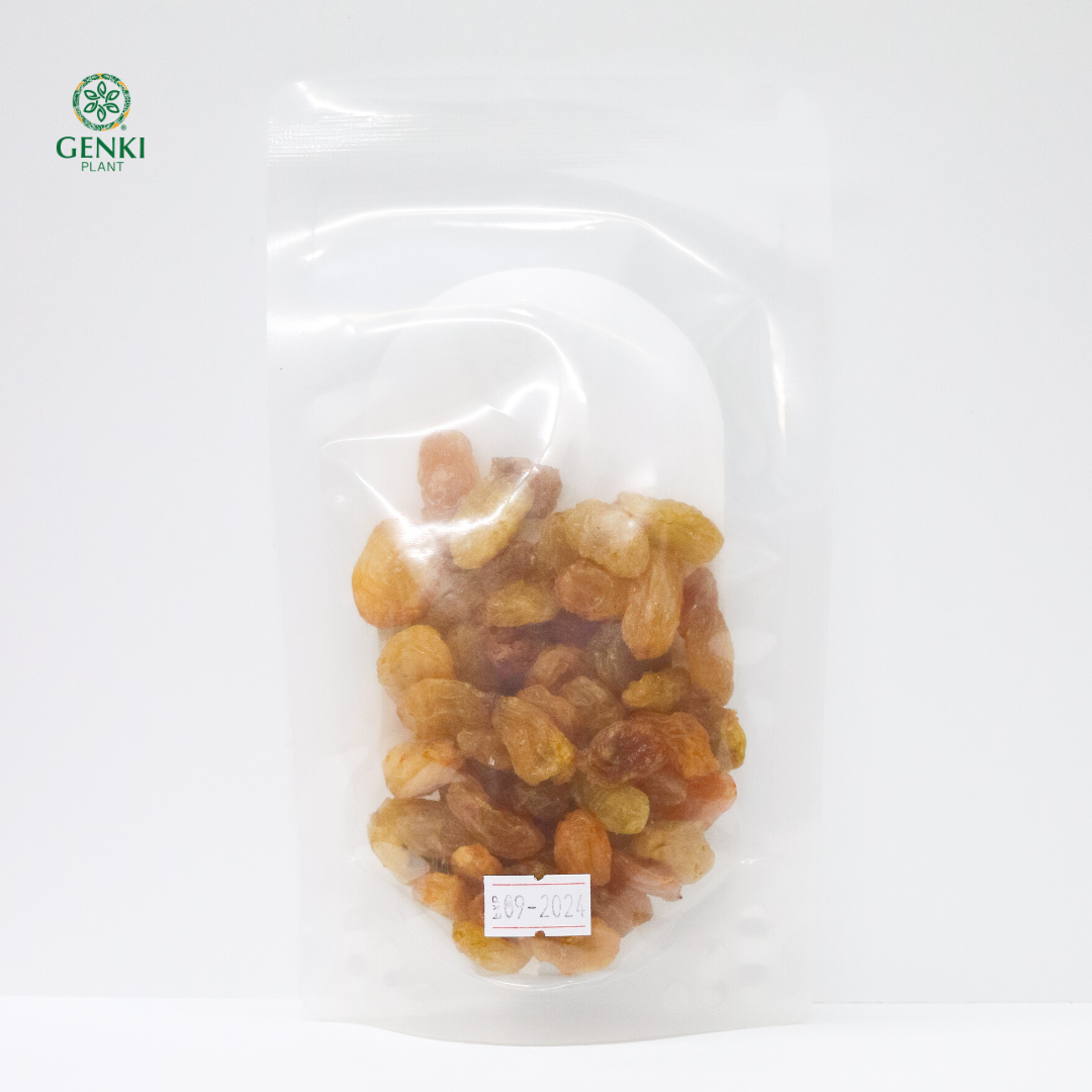 Golden Raisin Jumbo / Kismis Emas Jumbo - 100 g thumbnail 2