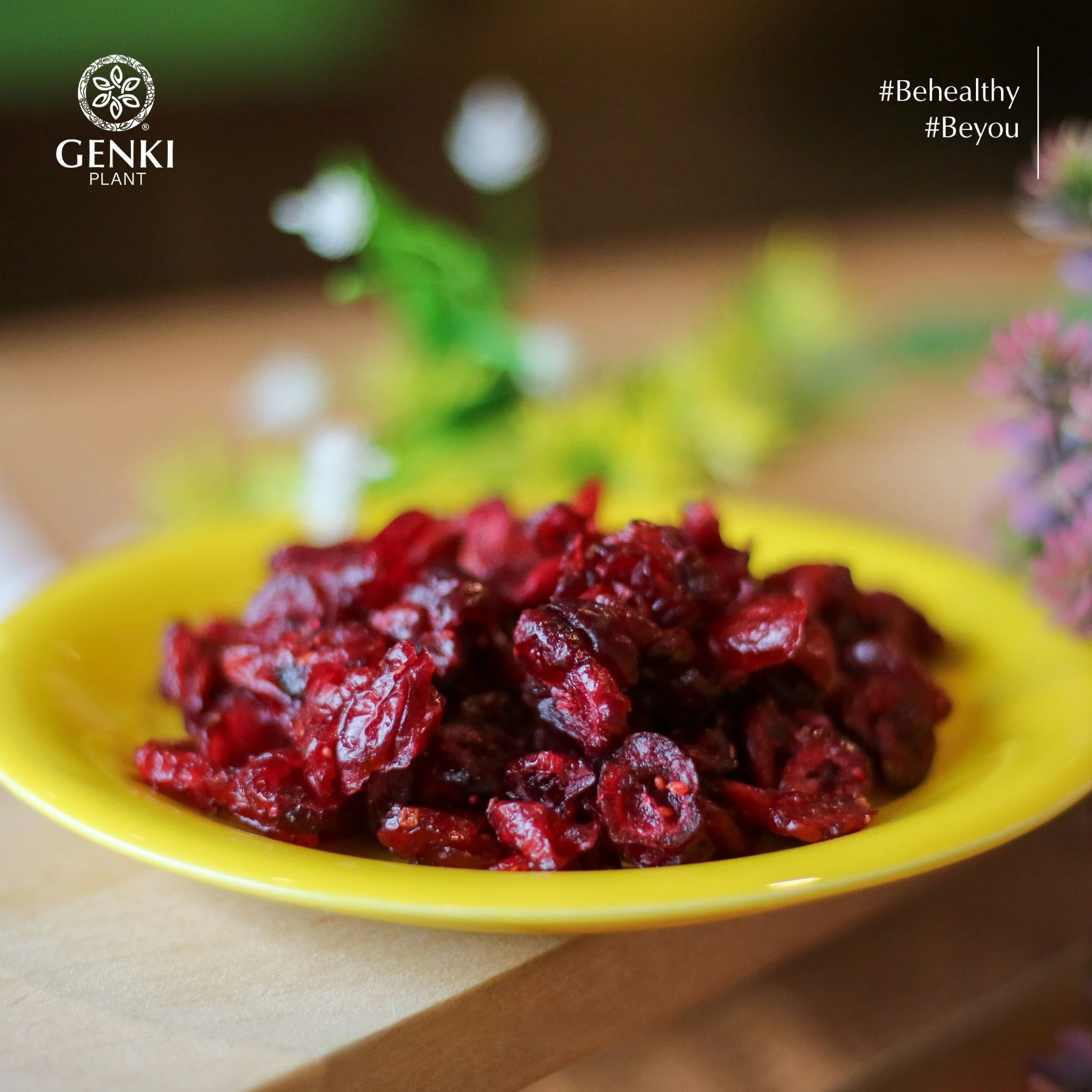 Dried Cranberry / Cranberries / Kranberi Kering - 1kg thumbnail 3