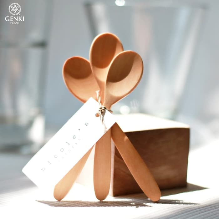 Nicole's Wooden Spoon (Mini) - 3 pcs