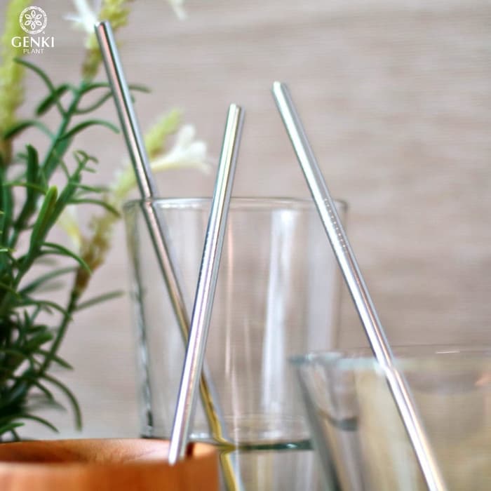 Stainless Straw Silver (Straight)
